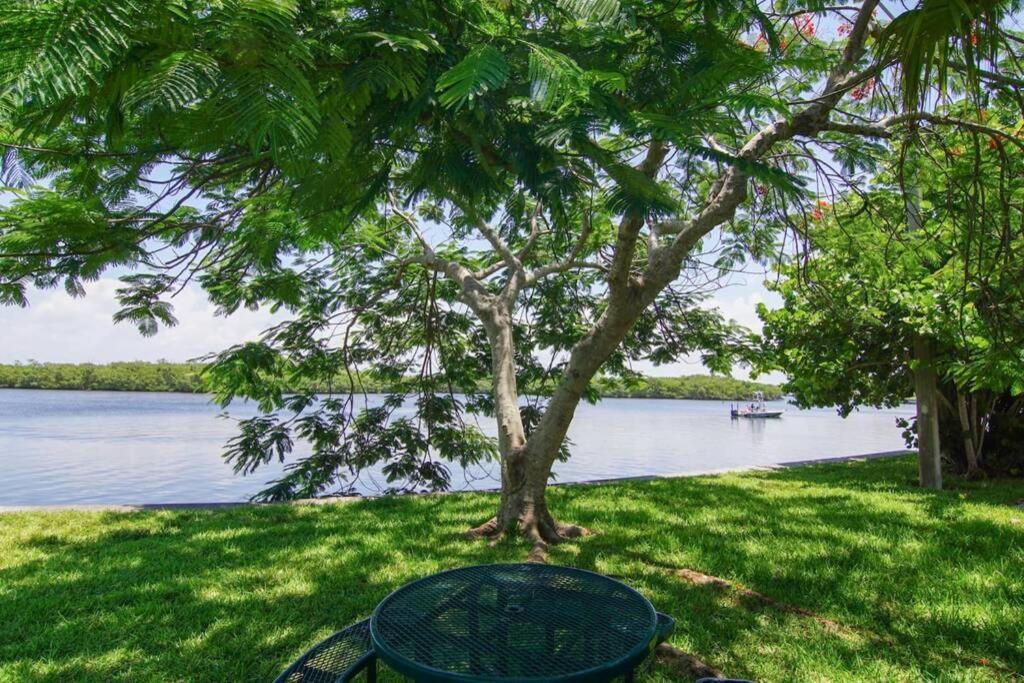 Riverview, Studio 507, Beach Steps Away!+Pool+Wifi Раскин Экстерьер фото